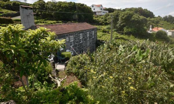 Adega Do Gato Hotel Calhau ภายนอก รูปภาพ